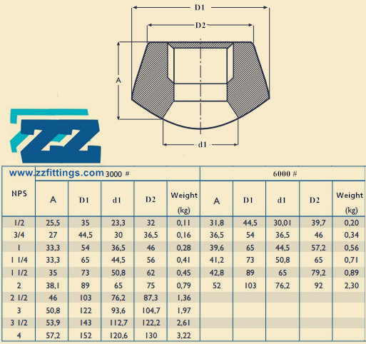 Threadolet Dimensions