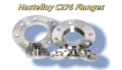 Hastelloy C276 Flanges