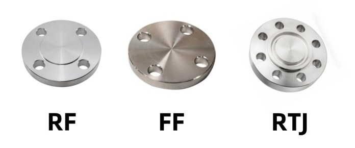 Blind Flanges face types